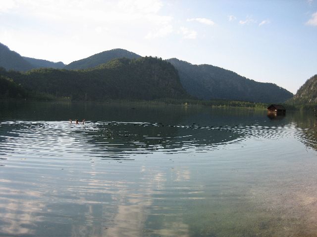Almsee