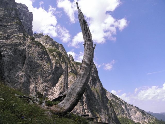 P8101156