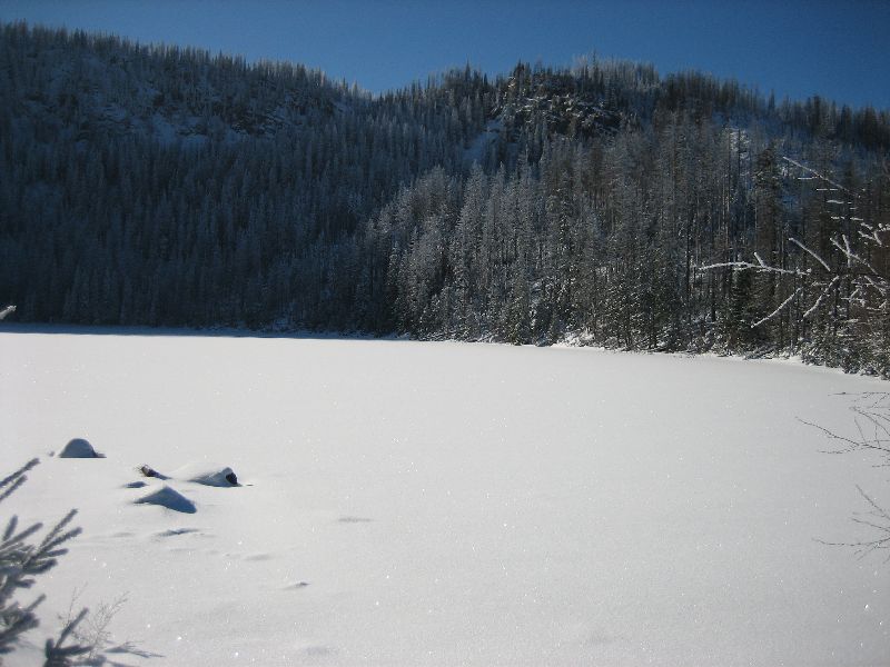 Plešné jezero