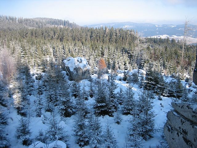Šumava