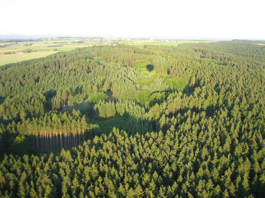 IMG_6627
