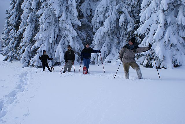 V zápřahu