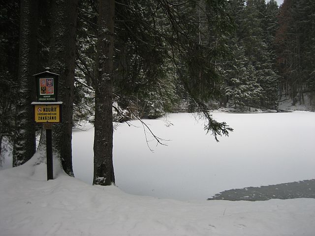 jezero U pralesa