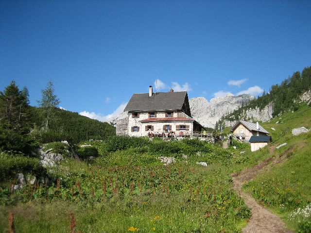 Puhringer H.
